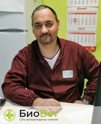 Берко Марчел Константинович