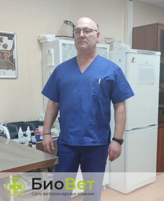 Орлов Сергей Юльевич