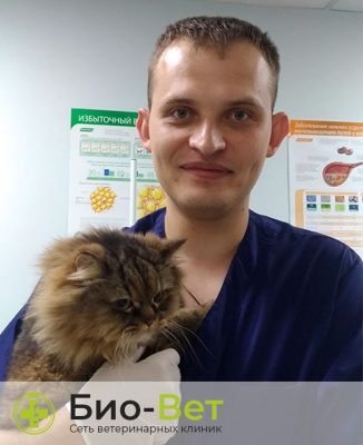 Новиков Николай Александрович