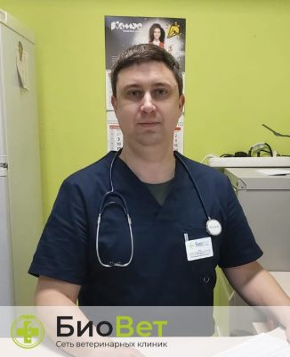 Казаков Александр Викторович