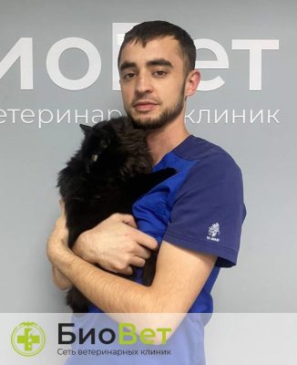 Аккаев Джафар Арсенович