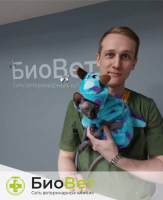 Шарифуллин Дамир Шавкатович