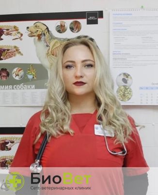 Косенко Елена Геннадьевна