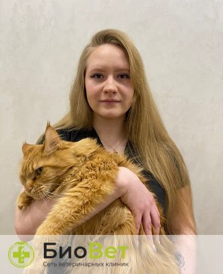 Премак Анна Сергеевна