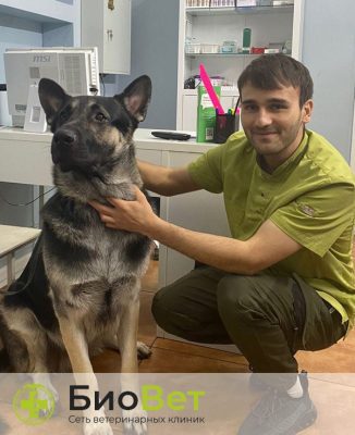Караев Али Баходирович