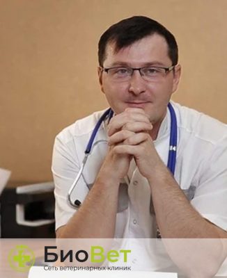 Медников Александр Михайлович