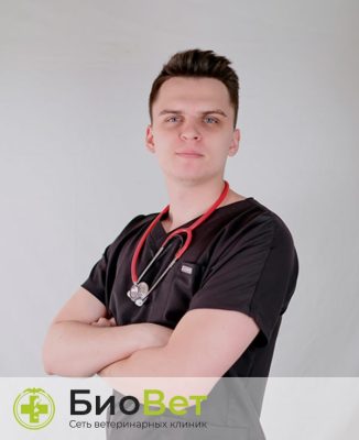 Невретдинов Андрей Рушанович