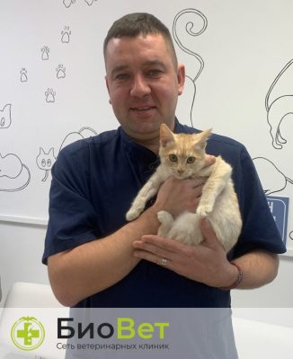 Сапожников Денис Сергеевич