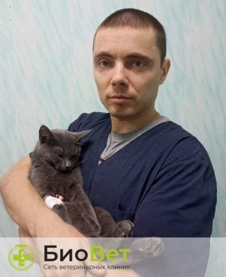 Фоменко Вячеслав Геннадиевич