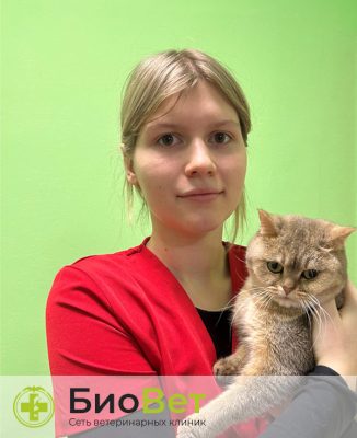 Аляева Екатерина Сергеевна