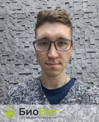 Кочкин Антон Сергеевич